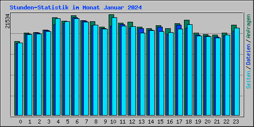 Stunden-Statistik im Monat Januar 2024
