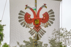 DSC05386-04